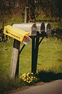 quattro, grigio, caselle postali, comunicazione, testo, terra, campo, pianta, sceneggiatura occidentale, erba, natura, giorno, cartello, giallo, nessuno, informazione, albero, legno - materiale, segno di informazione, all'aperto, guida, crescita, avvicinamento, Messaggio, 5K, CC0, dominio pubblico, privo di copyright