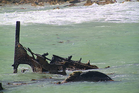 destruir, navio, metal, ferrugem, velho, agua, mar, permanecer, dia, natureza, Rocha, beleza na natureza, tranquilidade, ninguém, scenics - natureza, animais selvagens, terra, de praia, ao ar livre, rock - objeto, cena tranquila, sólido, animais em estado selvagem, visão de alto ângulo, vertebrado, troncos, 4K, CC0, domínio público, royalty free