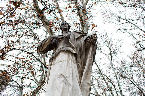 madrid, Spanien, statue, dronning, træ, himmel, skulptur, menneskelig repræsentation, Kunst og håndværk, lav vinkel visning, repræsentation, plante, håndværk, afdeling, religion, kreativitet, mandlig lighed, natur, ingen mennesker, dag, tro, spiritualitet, udendørs, Engel, 4K, CC0, offentligt domæne, royaltyfrie