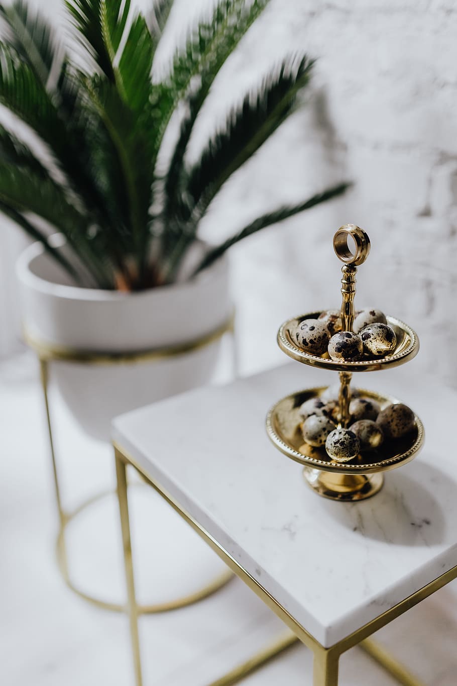quail eggs, white, marble, eggs, easter, quail, Un'common, uncommon, table, no people, plant, metal, close-up, focus on foreground, nature, indoors, still life, day, selective focus, religion, leaf, high angle view, spirituality, potted plant, plant part, tree, belief, setting, 5K