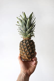 persona, mostrant, fruita de pinya, fruita, pinya, planta, menjar, humà, ananas, fruita a la mà, bronze, dit, arrel, plàtan, tropical, Magrana, produir, mel, bresca, rave, vegetals, maionesa, mà humana, mà, menjar i beguda, alimentació saludable, part del cos humà, una persona, celebració, fruita tropical, benestar, frescor, tir de l'estudi, persona irreconeixible, perspectiva personal, fons blanc, a l'interior, part del cos, madur, 5K, CC0, domini públic, lliure de regalies