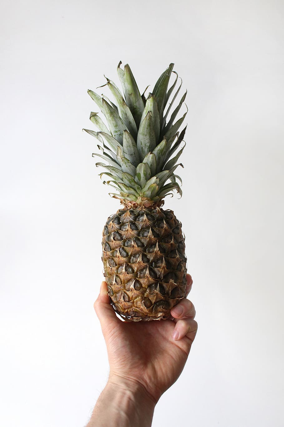 persona, mostrant, fruita de pinya, fruita, pinya, planta, menjar, humà, ananas, fruita a la mà, bronze, dit, arrel, plàtan, tropical, Magrana, produir, mel, bresca, rave, vegetals, maionesa, mà humana, mà, menjar i beguda, alimentació saludable, part del cos humà, una persona, celebració, fruita tropical, benestar, frescor, tir de l'estudi, persona irreconeixible, perspectiva personal, fons blanc, a l'interior, part del cos, madur, 5K