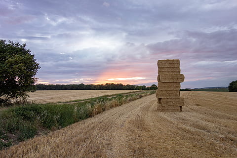 Normandiet, Frankrig, felter, solnedgang, daggry, tusmørke, orange, landskab, Mark, himmel, sky - himmel, miljø, jord, scenics - natur, plante, rolig scene, skønhed i naturen, ro, natur, landbrug, landlige scene, græs, ingen mennesker, træ, hø, udendørs, 5K, CC0, offentligt domæne, royaltyfrie