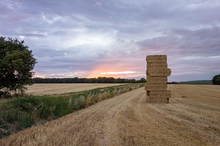 Normandiet, Frankrig, felter, solnedgang, daggry, tusmørke, orange, landskab, Mark, himmel, sky - himmel, miljø, jord, scenics - natur, plante, rolig scene, skønhed i naturen, ro, natur, landbrug, landlige scene, græs, ingen mennesker, træ, hø, udendørs, 5K