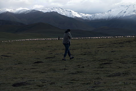 snowmountain, grass, boy, sheep, goat, mountain, one person, real people, beauty in nature, scenics - nature, full length, leisure activity, land, environment, rear view, lifestyles, sky, tranquil scene, tranquility, mountain range, non-urban scene, landscape, winter, warm clothing, snowcapped mountain, 5K, CC0, public domain, royalty free
