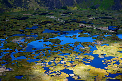 Chili, rano kau, air, alam, danau, tidak ada orang, hari, tampilan sudut tinggi, keindahan di alam, ketenangan, menanam, lingkungan Hidup, di luar rumah, mengambang, scenics - alam, warna hijau, ganggang, mengambang di atas air, lahan basah, binatang di alam liar, satwa liar hewan, rawa, polusi, 4K, CC0, domain publik, bebas royalti