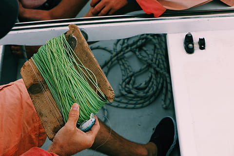 grünes Seil, Angeln, Person, Mensch, Brignogan, Frankreich, Finger, Köder, Angelleine, Meer, Fisch, Pflanze, Fischmarkt, Angel, Angelrute, Boot, Haken, Kleidung, bekleidung, Lebensmittel, menschliche Hand, echte Menschen, Hand, eine Person, menschliches Körperteil, Männer, halten, Besetzung, Lebensstile, Essen und Trinken, grüne Farbe, Transportmittel, Kleinunternehmen, nicht erkennbare Person, Freizeitbeschäftigung, Geschäft, Tag, menschliches Glied, 5K, CC0, gemeinfrei, lizenzfrei