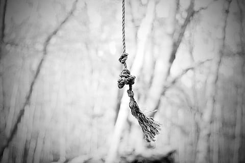 corda, arbre, swing, bosc, b w, blanc i negre, arbres, jugar, planta, naturalesa, cap gent, penjant, centrar-se en primer pla, dia, primer pla, enfocament selectiu, a l'aire lliure, tranquil·litat, vista d’angle baix, branca, material de fusta, terra, cadena, bellesa a la natura, metall, sol objecte, accessori personal, 4K, CC0, domini públic, lliure de regalies