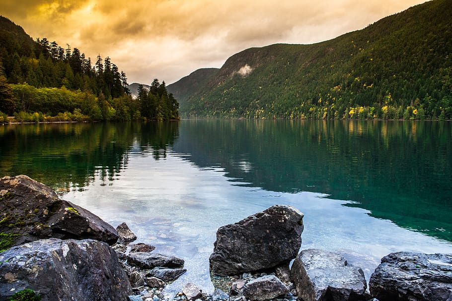 řeka, borovice, voda, Příroda, venku, jezero, jedle, strom, abies, rostlina, mys, suť, pohoří, hora, divočina, jehličnatý strom, moře, pobřeží, oceán, dok, nábřeží, scenics - příroda, krása v přírodě, odraz, nebe, klidné scény, klid, mrak - nebe, pevný, nikdo, Skála, rock - objekt, mimoměstské scény, idylický, 5K