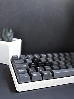 Hardware-, Elektronik, Tastatur, Computer, Computerhardware, Computer Tastatur, Haustier, Katze, Tier, Säugetier, Maus, Desktop, pc, Bühne, Adapter, Bildschirm, Möbel, Tabelle, Anzeige, Monitor, drinnen, keine Leute, Nahansicht, Technologie, Stillleben, Fokus auf den Vordergrund, kabellose Technologie, selektiver Fokus, Verbindung, High Angle View, schwarze Farbe, kopieren sie platz, Computerausrüstung, Abwesenheit, Tag, 4K, CC0, gemeinfrei, lizenzfrei