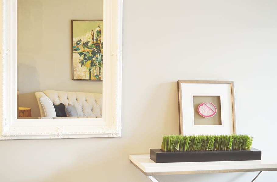 rectangular, blanc, mirall de paret emmarcat en fusta, sofà, decoració, disseny, mirall, pintura, marc, planta, simple, a l'interior, cap gent, planta en test, interior de casa, naturalesa, dia, funció de construcció de parets, pintures, absència, taula, creixement, finestra, habitació domèstica, senzillesa, sala d'estar, prestatge, planta d'interior, test de flor, taula de cafè, 5K