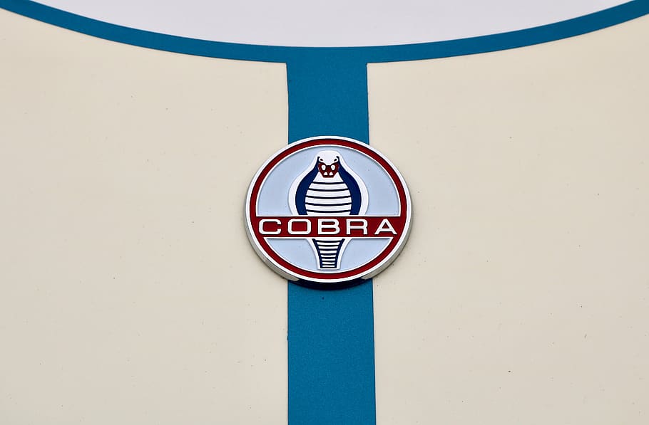 runde sølvfarvet cobra-emblem, varemærke, logo, emblem, køretøj, design, transportere, blå, fløde, transportmidler, hvid, automobil, cobra, Ford, bil, at vise, hd, tapet, gå, auto, stribe, skilt, cirkel, meddelelse, dag, murbygningsfunktion, ingen mennesker, geometrisk form, bygget struktur, form, metal, mønster, indendørs, symbol, arkitektur, Information, tæt på, informationsskilt, advarselsskilt, vejledning, 5K