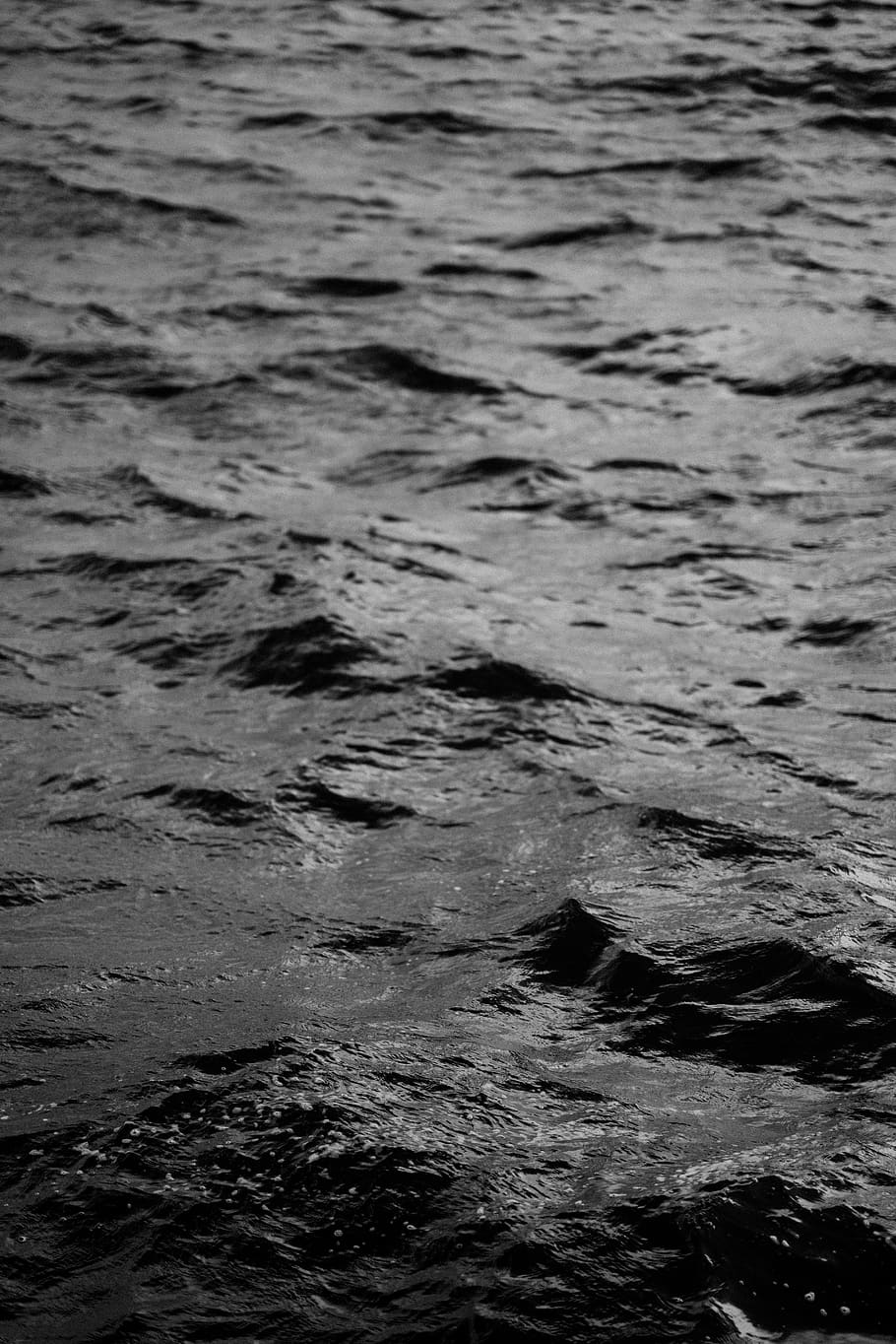 apă ripple, apă, mare, ocean, natură, în aer liber, sport, înot, sportiv, valurile marii, animal, pasăre, haine, îmbrăcăminte, clipoci, păsările de apă, nisip, linia țărmului, coastă, Costume de baie, plajă, cadru complet, fundaluri, nici o persoana, malul mării, zi, model, încrețit, frumusețe în natură, mişcare, vedere în unghi mare, val, a închide, liniște, teren, apă curgătoare, 8K