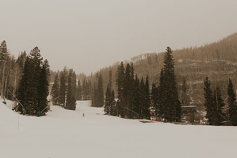 arbres, envoltat, neu, arbre, planta, abies, avet, conífera, pi, picea, #colorado #nature #snow #mountains #winter #winterwonderland #coloradomountains #coldweather #naturevibes, a l'aire lliure, naturalesa, làrix, manera, carretera, pista, esports, esport, aeroport, camp d’avió, temperatura de fred, hivern, bellesa a la natura, terra, cel, escenics - natura, escena tranquil·la, tranquil·litat, escena no urbana, bosc, cobertura, creixement, medi ambient, muntanya, dia, arbre de coníferes, nevar, roba calenta, 5K, CC0, domini públic, lliure de regalies