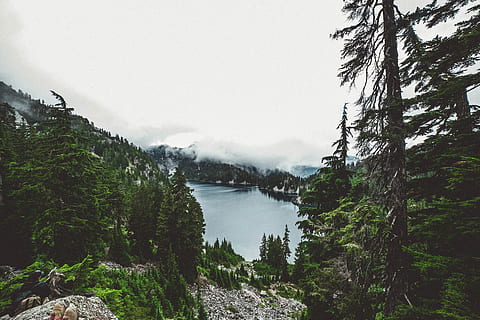 lago, verde, leafed, alberi, nuvoloso, cielo, giorno, montagna, foresta, albero, natura selvaggia, natura, escursione, nube, nebbia, Pino, paesaggio, all'aperto, Paesaggi, acqua, estate, roccia - oggetto, viaggio, bellezza nella natura, colore verde, fiume, picco di montagna, Canada, nessuno, blu, Europa, escursioni a piedi, catena montuosa, turismo, collina, scena tranquilla, valle, 5K, CC0, dominio pubblico, privo di copyright
