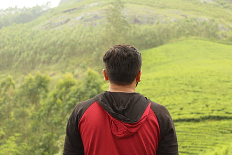 Índia, munnar, vista del darrere, una persona, tirada al cap, naturalesa, homes, dia, retrat, planta, activitat d'oci, roba casual, paisatge, adult jove, terra, color verd, persones reals, medi ambient, a l'aire lliure, arbre, adult, mirant la vista, mirant, 5K, CC0, domini públic, lliure de regalies