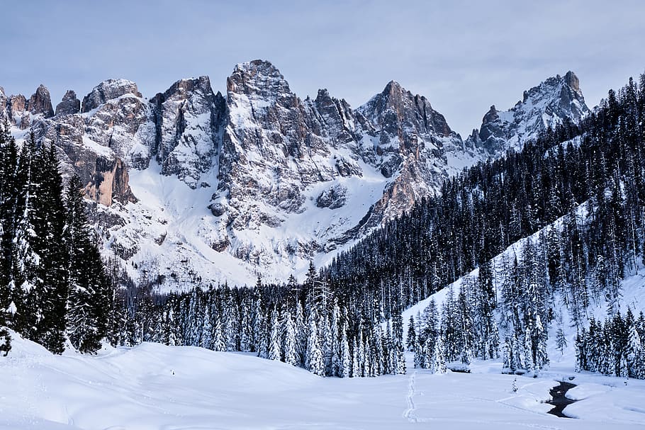 montagna innevata, natura, all'aperto, montagna, albero, pianta, abete, abies, ghiaccio, la neve, Italia, catena montuosa, rolle pass, inverno, scenario, paesaggio, escursioni a piedi, ghiacciaio, picco, torrente, Esplorare, temperatura fredda, bellezza nella natura, scenics - natura, cielo, ambiente, la tranquillità, terra, scena tranquilla, scena non urbana, copertura, nessuno, tempo estremo, 5K