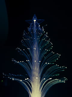 llums, Nadal, arbre, pi, fibra, bokeh, foscor, negres, ombres, estrella, nit, il·luminat, brillant, cap gent, equips d’il·luminació, moviment, tir de l'estudi, decoració, electricitat, celebració, naturalesa, llum, a l'interior, primer pla, multicolor, explosió, cel, vista d’angle baix, patró, fons negre, focs artificials, fibra òptica, 4K, CC0, domini públic, lliure de regalies