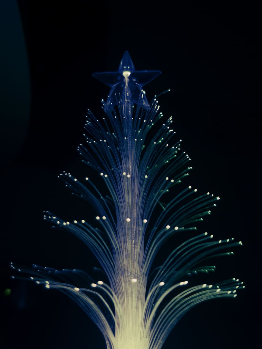 llums, Nadal, arbre, pi, fibra, bokeh, foscor, negres, ombres, estrella, nit, il·luminat, brillant, cap gent, equips d’il·luminació, moviment, tir de l'estudi, decoració, electricitat, celebració, naturalesa, llum, a l'interior, primer pla, multicolor, explosió, cel, vista d’angle baix, patró, fons negre, focs artificials, fibra òptica, 4K