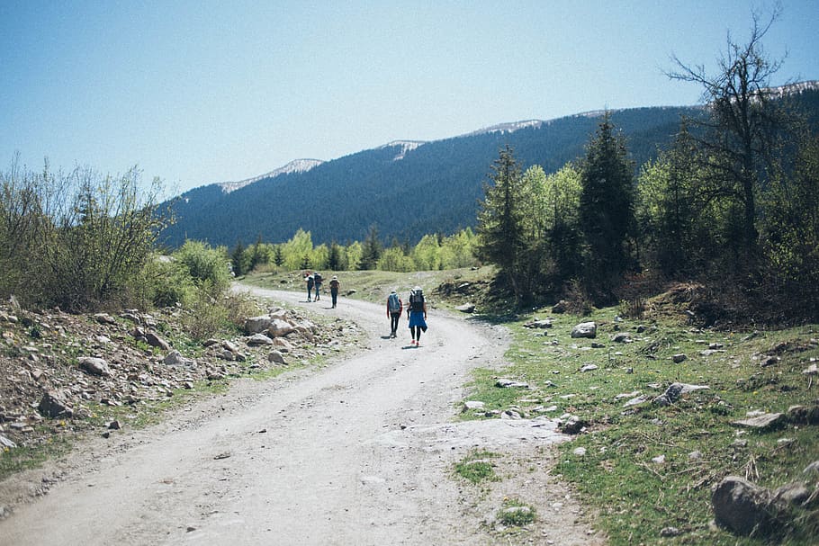cinque, persona, a piedi, strada di campagna, chiaro, blu, cielo, luce del giorno, ambiente, erba, paesaggio, montagna, natura, persone, strada, rocce, panoramico, alberi, albero, pianta, giorno, bellezza nella natura, stili di vita, persone reali, retrovisore, scenics - natura, scena non urbana, attività di svago, uomini, crescita, gruppo di persone, la tranquillità, catena montuosa, all'aperto, 5K