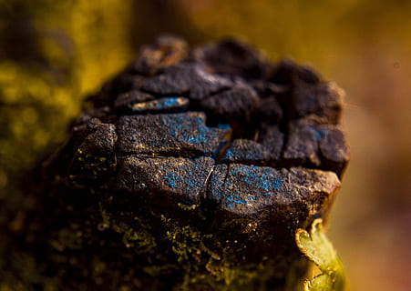 makrofotografering, Brun, sten-, klippe, tæt på, tekstureret, ingen mennesker, natur, fokus på forgrunden, dag, udendørs, ru, rock-objekt, selektiv fokusering, solid, stak, geologi, træ - materiale, træ, sort farve, mønster, kul, 2K, CC0, offentligt domæne, royaltyfrie