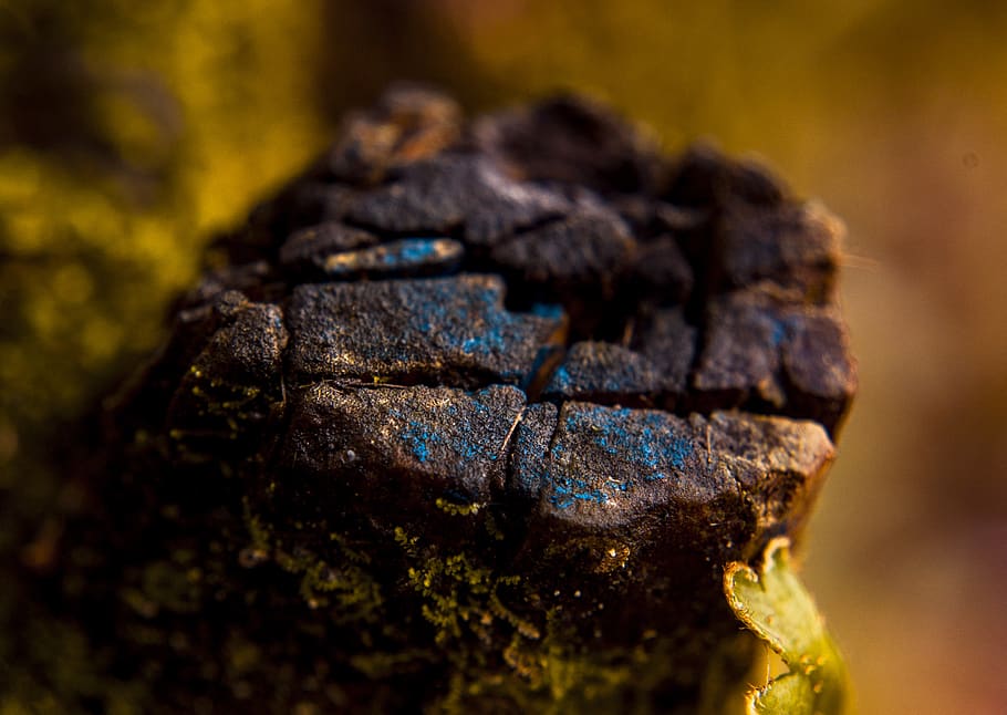 makrofotografering, Brun, sten-, klippe, tæt på, tekstureret, ingen mennesker, natur, fokus på forgrunden, dag, udendørs, ru, rock-objekt, selektiv fokusering, solid, stak, geologi, træ - materiale, træ, sort farve, mønster, kul, 2K
