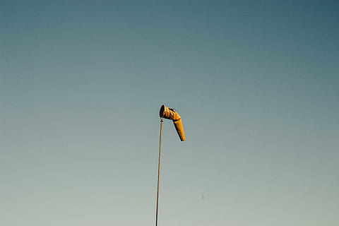 Karpfen Fahne, flores da cunha, Brasilien, gleiten, Abenteuer, Freizeitaktivitäten, Tier, Vogel, Bienenesser, grau, Himmel, klarer Himmel, kopieren sie platz, Natur, Flachwinkelansicht, ein Tier, Tierthemen, Tierwelt, keine Leute, Tiere in freier Wildbahn, Tag, Blau, draußen, Wirbeltier, hocken, Pole, sonnig, Pflanze, 5K, CC0, gemeinfrei, lizenzfrei