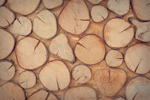 Scheibe, braun, hölzern, Log, Design, Oberfläche, Textur, Wand, Holz, Vollbild, Hintergründe, Muster, Holz - Material, Geometrische Figur, große gruppe von gegenständen, gestalten, Bauholz, keine Leute, texturiert, Kreis, Brennholz, Abholzung, Holzindustrie, Fülle, Baum, Anordnung, Nahansicht, Baumring, 4K, CC0, gemeinfrei, lizenzfrei