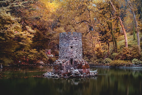 muro di cemento grigio, costruzione, acqua, albero, foresta, bosco, lago, riflessione, isola, foglia, le foglie, autunno, natura, fujifilm x, Fujifilm, longexposure, legna, carta da parati hd, sfondo del desktop, sfondo, New York City, Parco centrale, parco - spazio creato dall'uomo, posto famoso, all'aperto, manhattan - new york city, architettura, stagno, storia, fiume, stagione, viaggio, Paesaggi, paesaggio, vecchio, turismo, scena urbana, 4K, CC0, dominio pubblico, privo di copyright