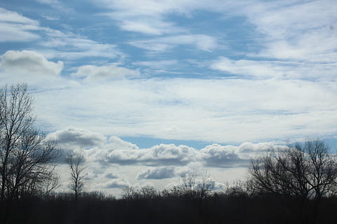 Sky, tyk, atmosfærisk, cloudscape, landskab, natur, grå, hvid, blå, himmel, sky - himmel, skønhed i naturen, ro, træ, plante, scenics - natur, rolig scene, ingen mennesker, dag, bare træ, ikke-urbane scene, udendørs, silhuet, jord, vækst, miljø, tjavsede, 5K, CC0, offentligt domæne, royaltyfrie