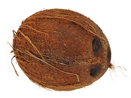 Coco, cocos, palma de coco, Cocoz, blanco, Fruta, fondo, madera, de cerca, aislado, vegetariano, peludo, natural, divertido, delicioso, tropical, dieta, marrón, hoja, subtropical, objeto, sabroso, sano, vitamina, planta, trópico, comida, nuez, Fondo blanco, separar, comida y bebida, foto de estudio, adentro, bienestar, naturaleza muerta, alimentación saludable, solo objeto, nadie, frescura, un pan, naturaleza, parte de la planta, forma, 1080P, CC0, dominio público, libre de derechos