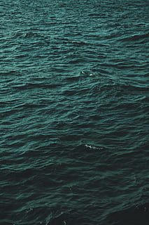 onada de l’oceà, marc complet, fons, aigua, davant del mar, mar, cap gent, bellesa a la natura, ondulat, tranquil·litat, naturalesa, dia, patró, escenics - natura, a l'aire lliure, moviment, escena tranquil·la, textura, idíl·lic, primer pla, efecte texturat, color turquesa, 5K, CC0, domini públic, lliure de regalies