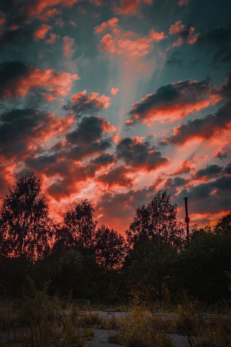Grün, blätterte, Baumlos, Blau, Himmel, hinterleuchtet, Wolken, dunkel, Dämmerung, Abend, Nebel, Gras, Landschaft, Licht, Natur, szenisch, Sonne, Sonnenuntergang, Bäume, Wetter, Baum, wolke - himmel, Pflanze, Schönheit in der Natur, Szenen - Natur, ruhige Szene, orange Farbe, Ruhe, Silhouette, keine Leute, Land, idyllisch, Wachstum, Nicht-städtische Szene, Feld, Umgebung, draußen, 5K