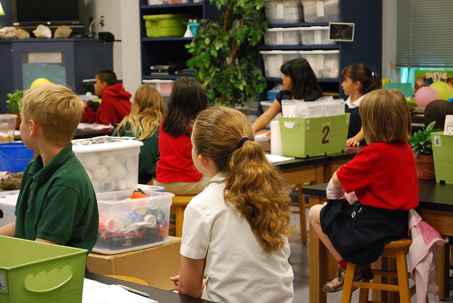 aula, estudiant, estudiants, lliçó, ciència, laboratori, estudiar, educar, educatiu, classe, educació, aprenentatge, nen, grup de persones, infància, grup mitjà de persones, dones, vista del darrere, grup, homes, noies, descendència, adult, nois, a l'interior, assegut, gent, taula, tecnologia, multitud, femelles, adolescent, mirant, 4K