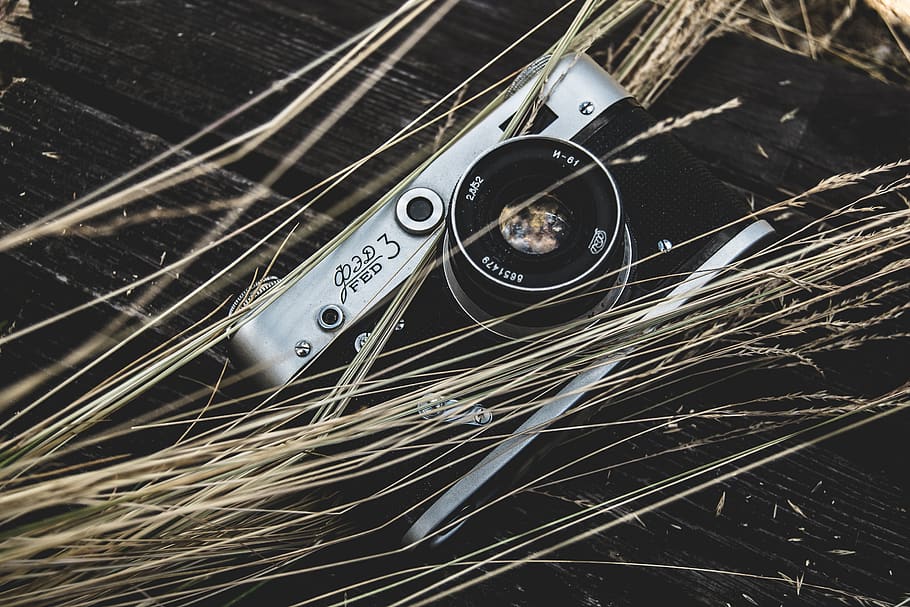 grigio, digitale, telecamera, Marrone, superficie, lenti della macchina fotografica, avvicinamento, buio, attrezzatura, erba, vecchia macchina fotografica, argento, tecnologia, nessuno, musica, connessione, metallo, giorno, vista dall'alto, all'aperto, stringa, stringa di strumenti musicali, strumento musicale, attrezzatura musicale, concentrarsi sulle conoscenze acquisite, strumento a corda, cultura artistica e intrattenimento, chitarra, natura, modello, 5K