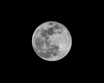 gråmåne, udendørs, astronomi, ydre rum, plads, nat, univers, måne, natur, fuldmåne, måneformørkelse, formørkelse, planet, globus, jorden, stjernehimmel, plante, blomstre, blomst, Acanthaceae, hardware, geometrisk form, cirkel, måneoverfladen, planetmåne, himmel, form, skønhed i naturen, ingen mennesker, ro, scenics - natur, lav vinkel visning, kopiere plads, rolig scene, mørk, astrologi, måneskin, rum og astronomi, 4K, CC0, offentligt domæne, royaltyfrie
