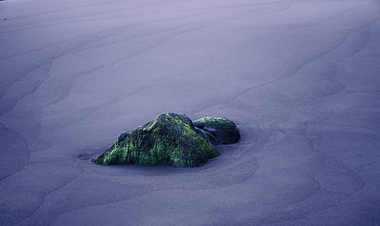 roca grisa, planta, molsa, algues, cristall, naturalesa, sorra, a l'aire lliure, sòl, Conca, flor, gerani, aquàtics, aigua, verd blavós, herba, rock, pastures, camp, monticle, cap gent, bellesa a la natura, rock - object, sòlid, medi ambient, tranquil·litat, geologia, dia, volcà, muntanya, paisatge, terra, escena tranquil·la, escenics - natura, color verd, escena no urbana, porpra, cràter volcànic, 5K, CC0, domini públic, lliure de regalies