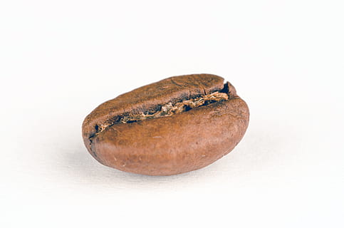 pietra marrone ovale, sfondo, fagiolo, Marrone, caffeina, avvicinamento, Chicco di caffe, grano, macrofotografia, naturale, oggetto, crudo, seme, strutturato, sfondo bianco, cibo e bevande, cibo, girato in studio, mangiare sano, singolo oggetto, nessuno, benessere, freschezza, in casa, ritagliare, pianta, copia spazio, verdura, natura, messa a fuoco selettiva, spuntino, semplicità, 4K, CC0, dominio pubblico, privo di copyright