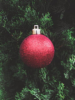pallina rossa, ornamento, illuminazione, albero, pianta, Natale, Australia, Vittoria, Lyndhurst, pallina di Natale, albero di Natale, luce, abies, abete, sfera, luccichio, fronzolo, festivo, verde e rosso, pavimentazione, decorazione natalizia, rosso, decorazione, ornamento di Natale, vacanza, celebrazione, avvicinamento, sospeso, nessuno, natura, giorno, evento di celebrazione, colore verde, all'aperto, 4K, CC0, dominio pubblico, privo di copyright