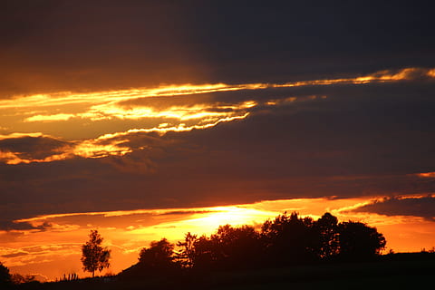 setting, set, sunset, nature, eve, evevning, sky, cloud - sky, beauty in nature, scenics - nature, silhouette, orange color, tranquility, tranquil scene, tree, no people, plant, idyllic, dramatic sky, non-urban scene, outdoors, sunlight, awe, romantic sky, 5K, CC0, public domain, royalty free