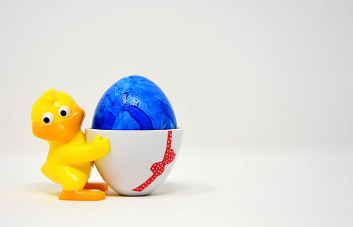 easter egg, chicks, egg cups, funny, colorful, spring, easter, color, painting, easter theme, easter greeting, easter greetings, greeting card, easter decoration, cute, colored, happy easter, figure, colored eggs, dyed easter eggs, colorful eggs, easter eggs, boiled eggs, dyed eggs, studio shot, indoors, toy, single object, representation, no people, blue, rubber duck, copy space, fun, animal, savings, bird, animal representation, two objects, humor, animal themes, white background, piggy bank, yellow, 5K, CC0, public domain, royalty free