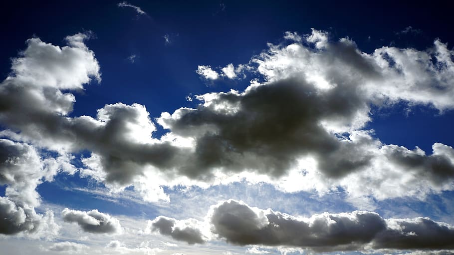 hvide skyer, blå himmel, uklarhed, skyer, cloudscape, dagslys, dramatisk, natur, himmel, sky - himmel, blå, miljø, skønhed i naturen, dramatisk himmel, vind, baggrunde, scenics - natur, atmosfære, overskyet, humørlig himmel, sollys, hvid farve, fluffy, ingen mennesker, meteorologi, udendørs, sol, frihed, klima, lyse, 4K