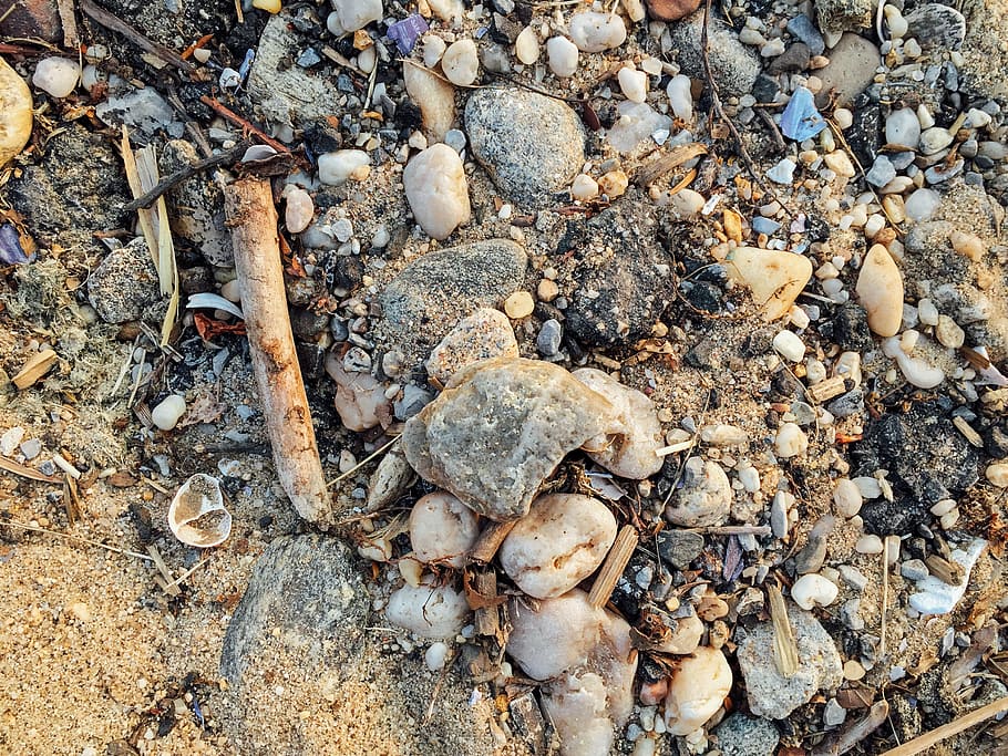 Muscheln, Felsen, Sand, Strände, Makro, Natur, Objekte, Sommer-, Strand, Steine, Land, solide, keine Leute, Rock, Tag, High Angle View, Feld, Stein - Objekt, Vollbild, Stein, große gruppe von gegenständen, Rock - Objekt, texturiert, Nahansicht, draußen, Kieselstein, direkt darüber, Hintergründe, 2K