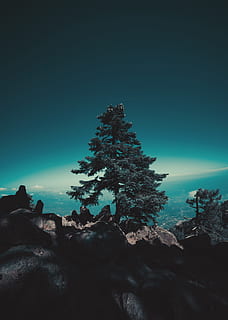 fotografia de paisatge, verd, fulles, arbre, rock, cel, núvol, blau, bosc, a l'aire lliure, naturalesa, muntanya, llum solar, ombra, llum, relaxa't, tranquil·litat, pau, solitari, aïllat, verd blavós, silueta, paisatge, posta de sol, retroil·luminat, escenics, cim de muntanya, senderisme, nit, sortida del sol - alba, turó, rock - object, gent, vespre, bellesa a la natura, homes, al matí, color negre, fosc, sol, aventura, escena tranquil·la, 5K, CC0, domini públic, lliure de regalies