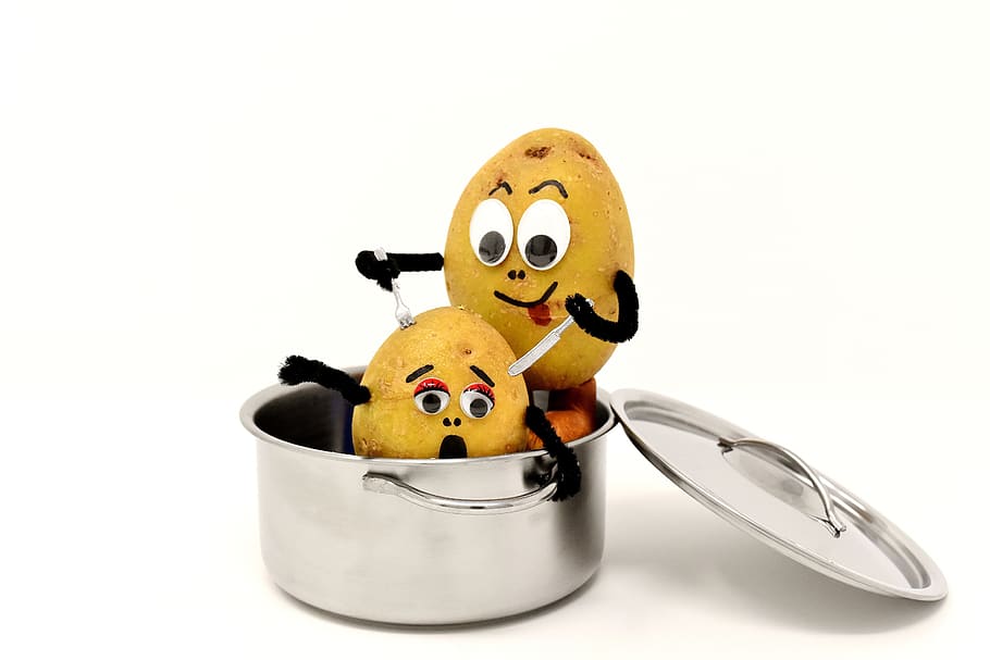 ansiós, pànic, caníbal, divertit, patates, ganivet, forquilla, menjar, matar, ketchup, sang, diversió, bonic, fons blanc, tallar, tir de l'estudi, joguina, representació, representació humana, a l'interior, natura morta, cap gent, joguina de peluix, primer pla, creativitat, còpia espai, Halloween, menjar i beguda, mamífer, 5K