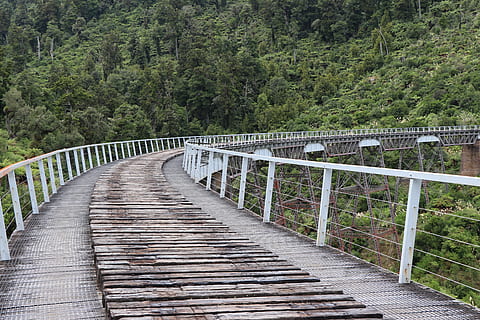pont, estructura, enginyeria, rústic, paisatge, corba, arbre, planta, direcció, barana, estructura construïda, el camí a seguir, connexió, arquitectura, pont - estructura feta per l'home, bosc, cap gent, passarel·la, naturalesa, sendera, color verd, bellesa a la natura, dia, transport, terra, a l'aire lliure, llarg, 5K, CC0, domini públic, lliure de regalies