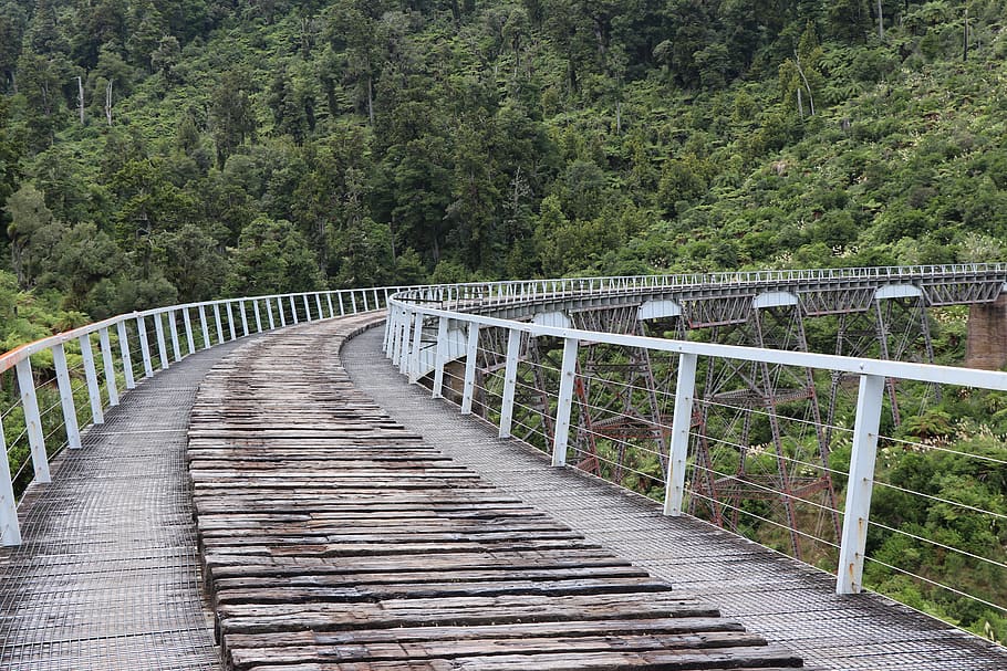 pont, estructura, enginyeria, rústic, paisatge, corba, arbre, planta, direcció, barana, estructura construïda, el camí a seguir, connexió, arquitectura, pont - estructura feta per l'home, bosc, cap gent, passarel·la, naturalesa, sendera, color verd, bellesa a la natura, dia, transport, terra, a l'aire lliure, llarg, 5K