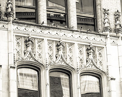 , die Architektur, gebaute Struktur, Gebäudehülle, Flachwinkelansicht, Gebäude, keine Leute, Tag, die Vergangenheit, Geschichte, Bogen, Stadt, Fenster, draußen, Reiseziele, architektonische Säule, Design, Vollbild, Reise, Glas - Material, aufwendig, Gothic Style, 2K, CC0, gemeinfrei, lizenzfrei