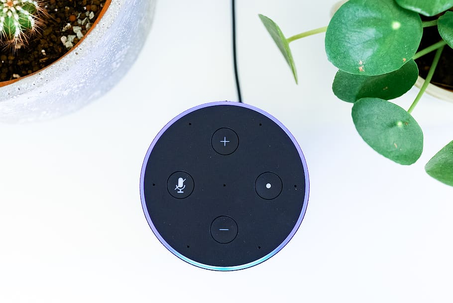 negre, amazon echo dot, planta, arquitectura, torre, Torre del Rellotge, edifici, ratolí, electrònica, maquinari, ordinador, accessoris, accessori, joieria, pedres precioses, esfera, ornament, full, plectre, taló, verd, minecraft, part de la planta, primer pla, naturalesa, cap gent, forma, forma geomètrica, cercle, a l'interior, tecnologia, directament a sobre, comunicació, creixement, tir de l'estudi, estil retro, dia, vista d’angle alt, 2K