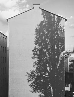 Germania, Berlino, riflessione, struttura costruita, architettura, esterno dell'edificio, albero, pianta, costruzione, natura, cielo, nessuno, giorno, all'aperto, Inquadratura dal basso, città, caratteristica della parete, avvicinamento, quartiere residenziale, industria, luce del sole, filtro di post produzione automatico, concentrarsi sulle conoscenze acquisite, appartamento, 4K, CC0, dominio pubblico, privo di copyright